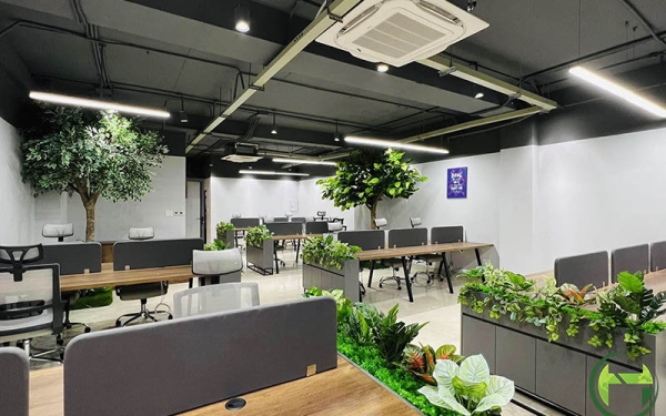 Cây Cảnh Trang Trí Nội Thất tại Quận 7