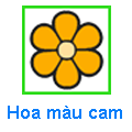 Hoa màu cam