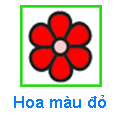 Hoa màu đỏ