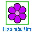 Hoa màu tím