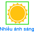 Nhiều ánh sáng