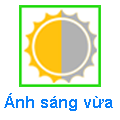 Ánh sáng vừa