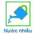 Nước nhiều