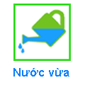 Nước vừa