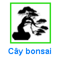 Cây Bonsai