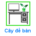 Cây để bàn