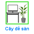 Cây Để Sàn