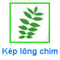 Kép lông chim