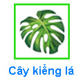 Cây Kiểng lá