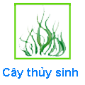 Cây Thủy sinh