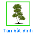 Tán bất định