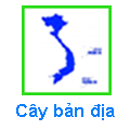 Cây Bản địa