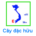 Cây Đặc hữu