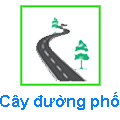 Cây Đường phố